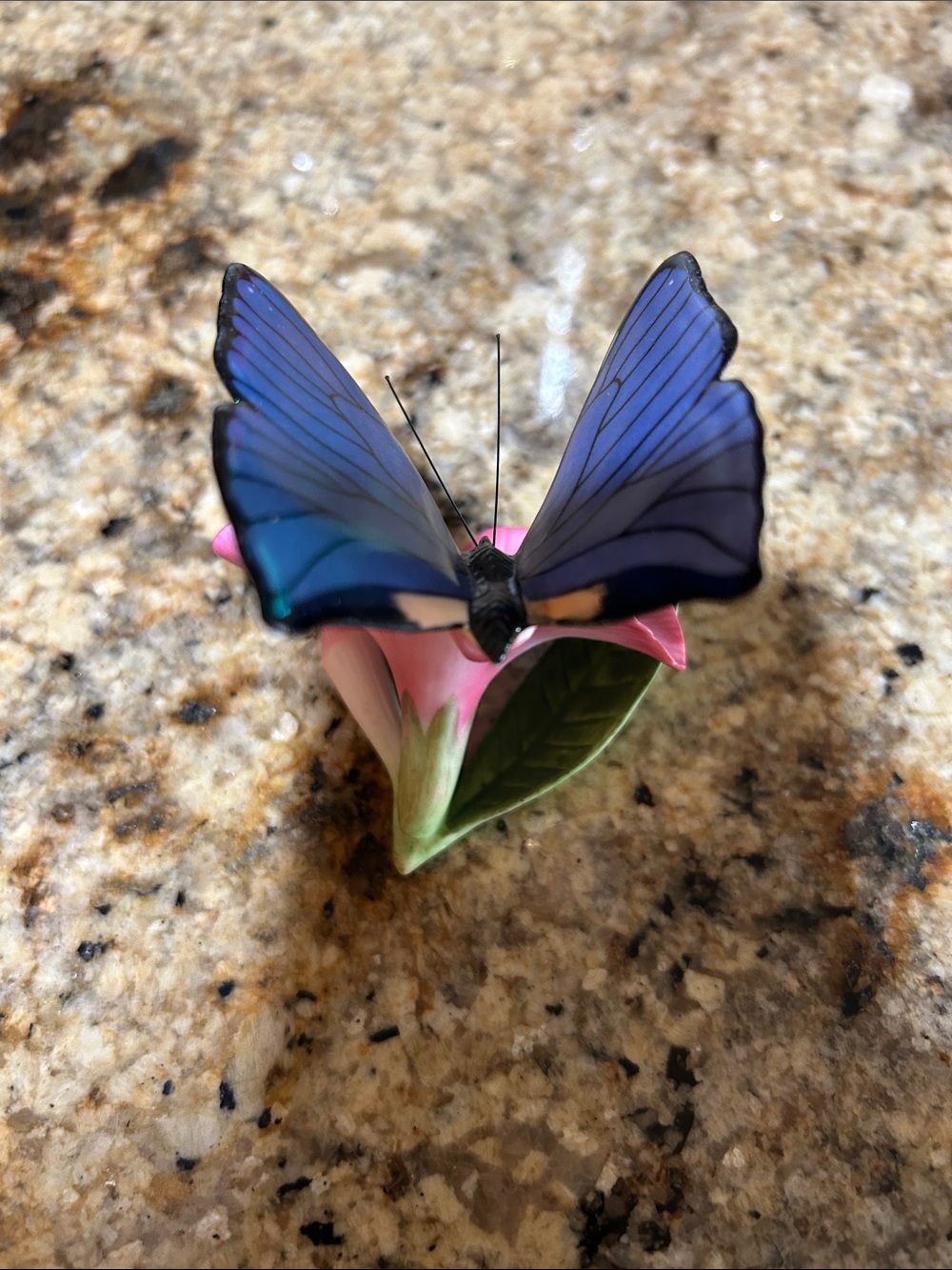 Franklin Mint "Butterflies of the World" blue morpho butterfly on a pink flower - Picture 5 of 10